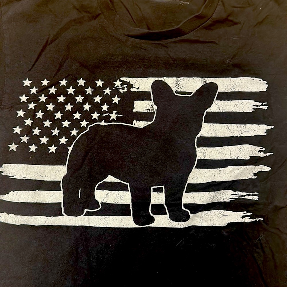 A Real American Corgi